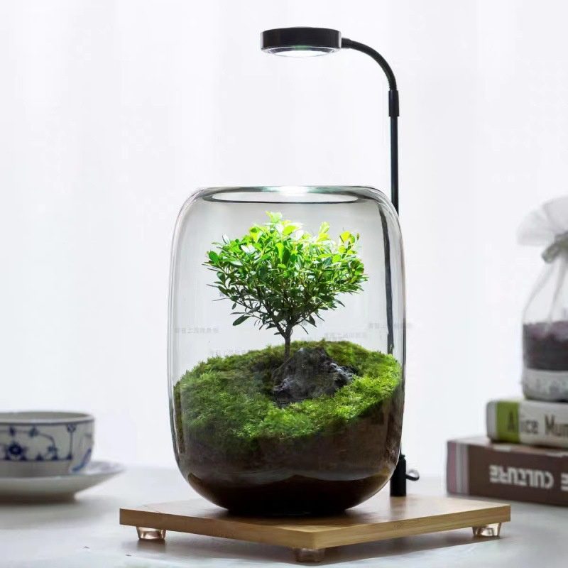 Wholesale Glass Vase HP-002 - Image 2